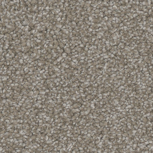 Tarkett Enamour Engage carpet swatch