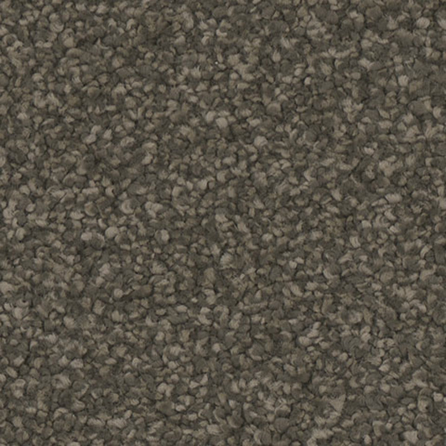 Tarkett Enamour Ravish carpet swatch