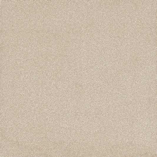 Tarkett Eterna Idyllic carpet swatch