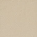 Tarkett Eterna Ardent carpet swatch