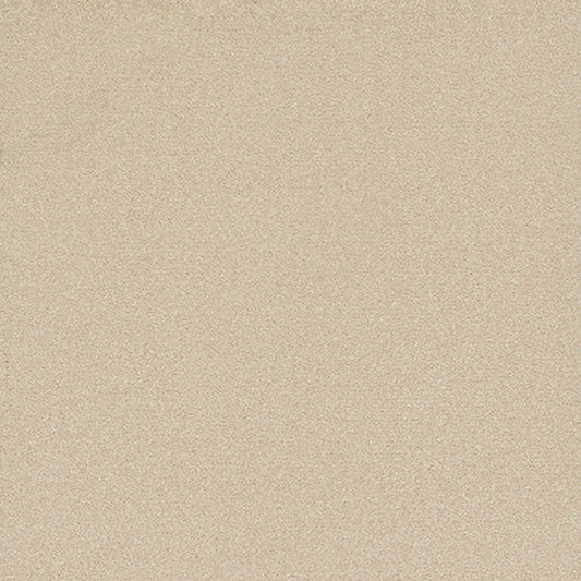 Tarkett Eterna Ardent carpet swatch