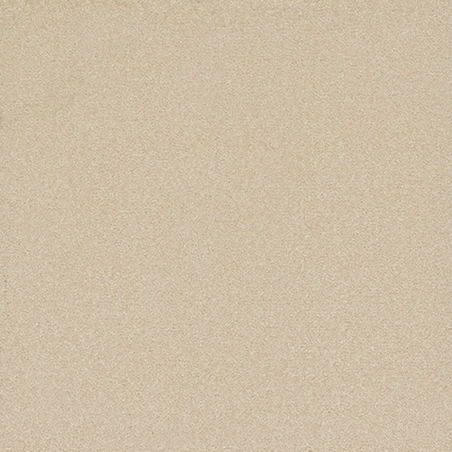Tarkett Eterna Ardent carpet swatch