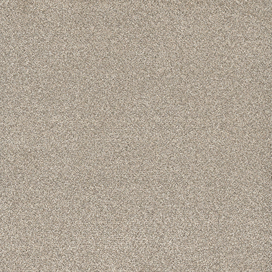 Tarkett Eterna Flirty carpet swatch