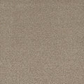 Tarkett Eterna Chateau carpet swatch