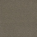 Tarkett Eterna Faithful carpet swatch