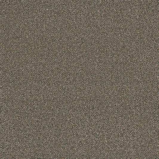 Tarkett Eterna Faithful carpet swatch