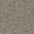 Tarkett Eterna Gallant carpet swatch