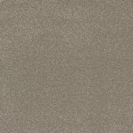 Tarkett Eterna Gallant carpet swatch