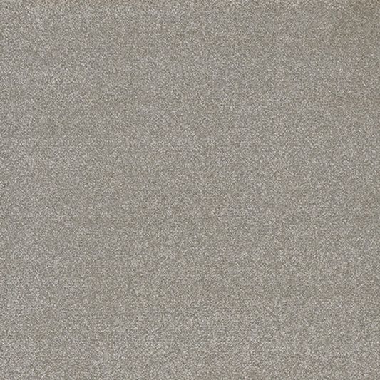 Tarkett Eterna Jovial carpet swatch