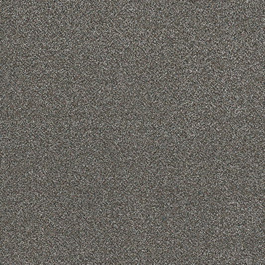 Tarkett Hidden Gem Topaz carpet swatch