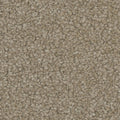 Tarkett Hypnotize Appeal carpet swatch