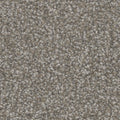 Tarkett Influence Tempt carpet swatch