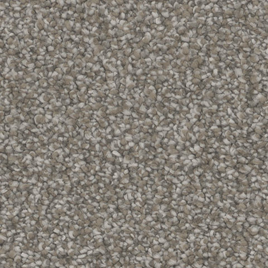 Tarkett Influence Tempt carpet swatch