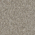 Tarkett Inspire Delight carpet swatch