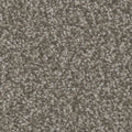 Tarkett Inspire Captivate carpet swatch