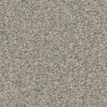 Tarkett Intrigue Rejoice carpet swatch