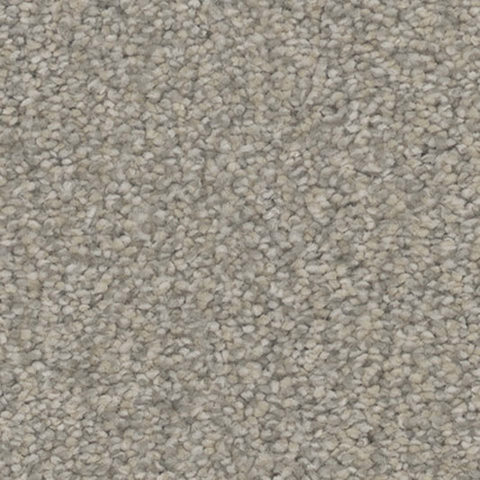 Tarkett Intrigue Rejoice carpet swatch