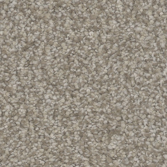 Tarkett Intrigue Delight carpet swatch