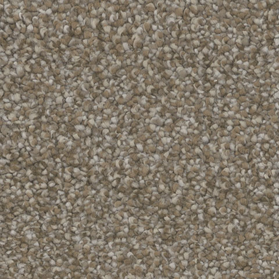 Tarkett Intrigue Thrill carpet swatch