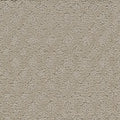 Tarkett Mont Blanc II Thriving carpet swatch