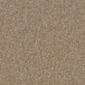 Tarkett Providence Countryside carpet swatch