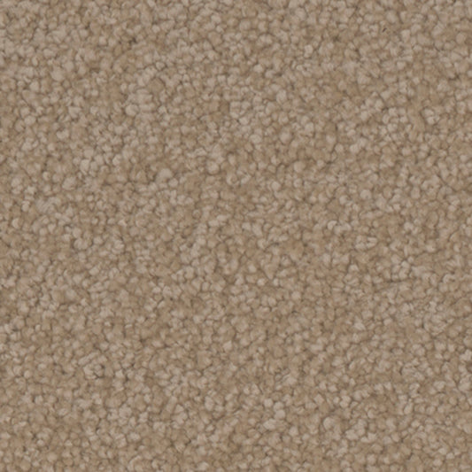 Tarkett Providence Countryside carpet swatch