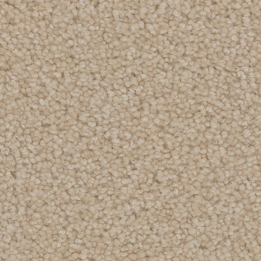 Tarkett Providence Townlet carpet swatch