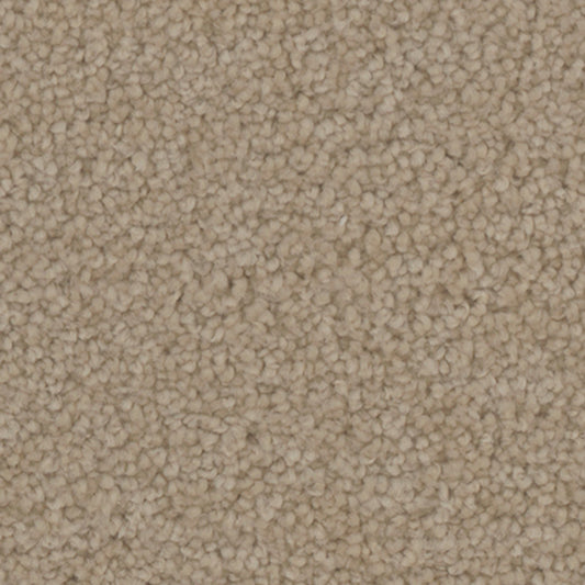 Tarkett Providence Grove carpet swatch