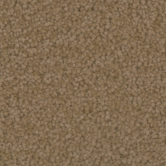 Tarkett Providence Treasure carpet swatch