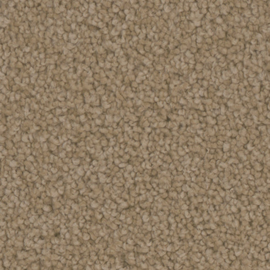 Tarkett Providence Gallery carpet swatch