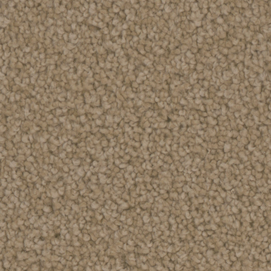 Tarkett Providence Gallery carpet swatch