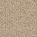 Tarkett Providence Bungalow carpet swatch
