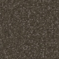 Tarkett Providence Woodlands carpet swatch
