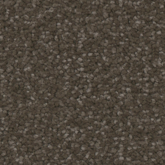 Tarkett Providence Woodlands carpet swatch