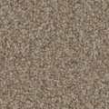 Tarkett Riviera Lavish carpet swatch