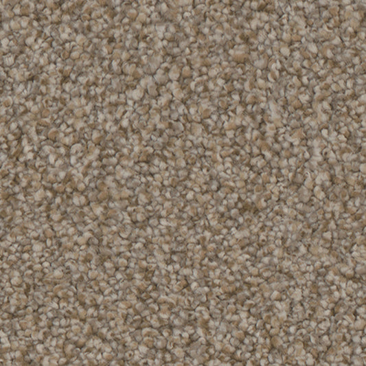 Tarkett Riviera Lavish carpet swatch