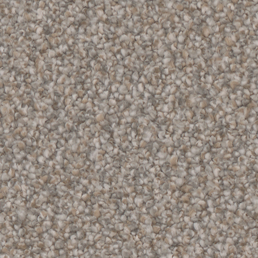 Tarkett Riviera Exclusive carpet swatch