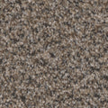 Tarkett Riviera Stately carpet swatch