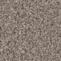 Tarkett Riviera Chic carpet swatch