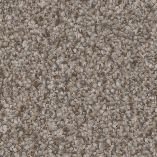 Tarkett Riviera Chic carpet swatch