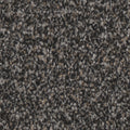 Tarkett Riviera Stunning carpet swatch