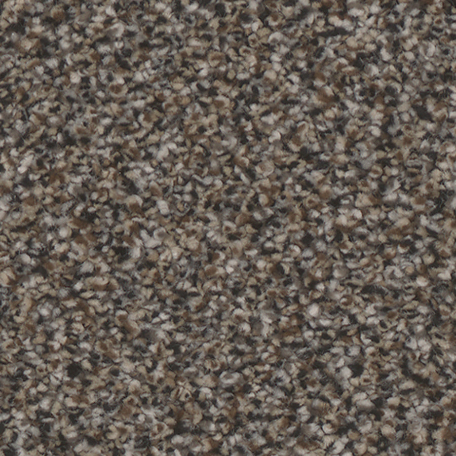 Tarkett Summerland Ritzy carpet swatch