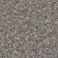 Tarkett Summerland Epic carpet swatch