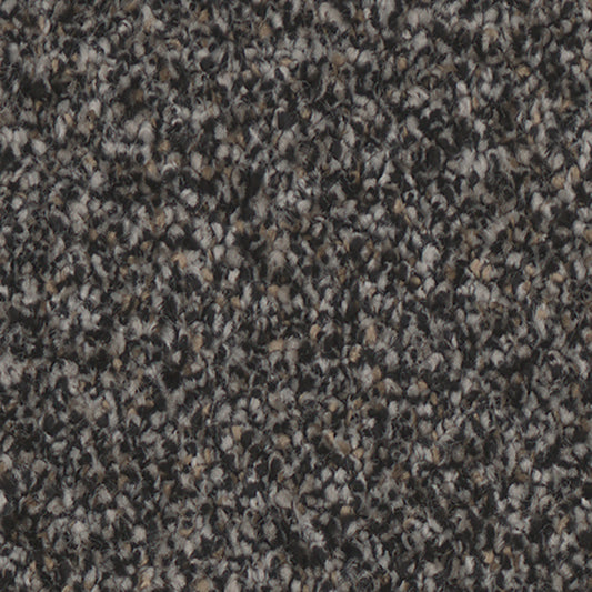 Tarkett Summerland Stunning carpet swatch