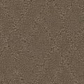Tarkett Windham Terrain carpet swatch
