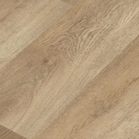 The Toronto Collection - Lakeshore