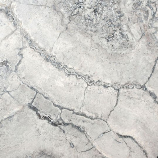 OLYMPIA TILE + STONE - Travertine Series - Tile - Travertine Silver Other - 3" x 6"