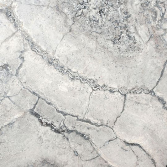 OLYMPIA TILE + STONE - Travertine Series - Tile - Travertine Silver Other - 3" x 6"