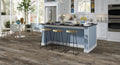 Maison Triumph Mixed Species Silver room scene