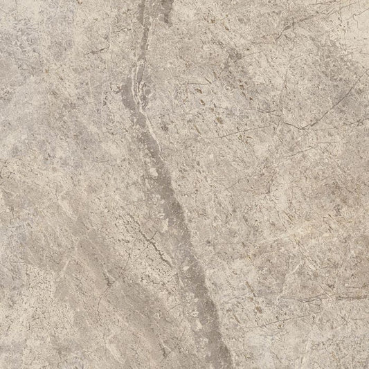 OLYMPIA TILE + STONE - Everlast Series - Porcelain Tile - Tundra - 24" x 24"